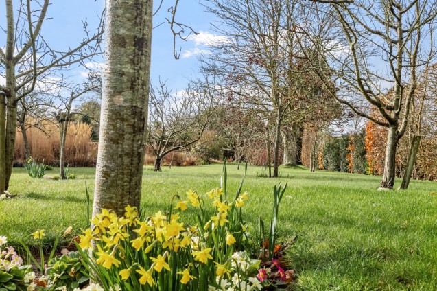 image for Melplash, Bridport, Dorset