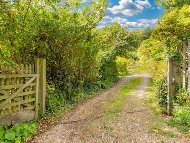image for Charmouth, Bridport