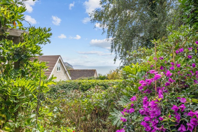 image for Charmouth, Bridport