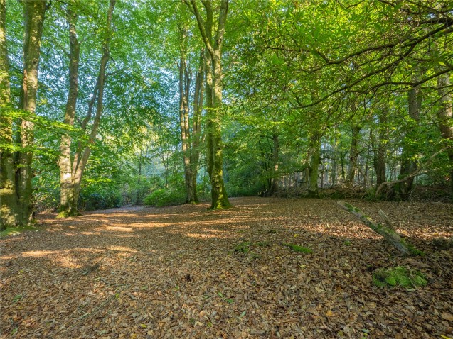 image for Axminster, Devon