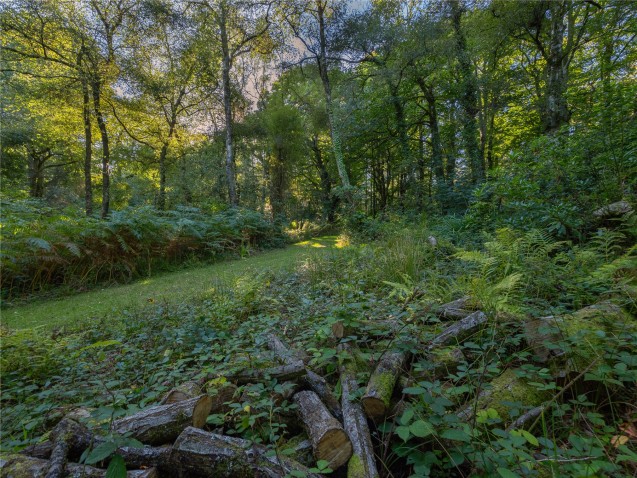 image for Axminster, Devon