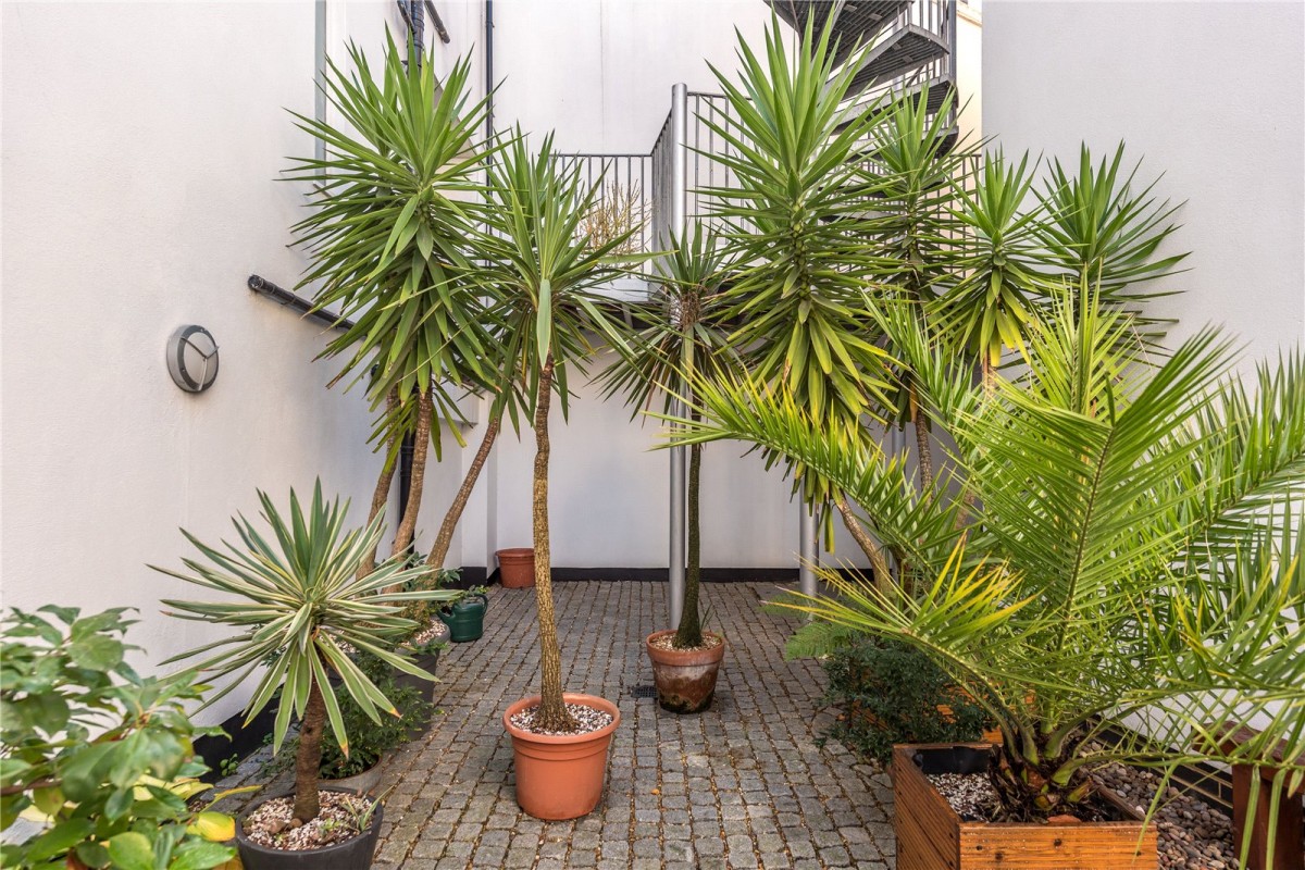 De Beauvoir, Islington, London