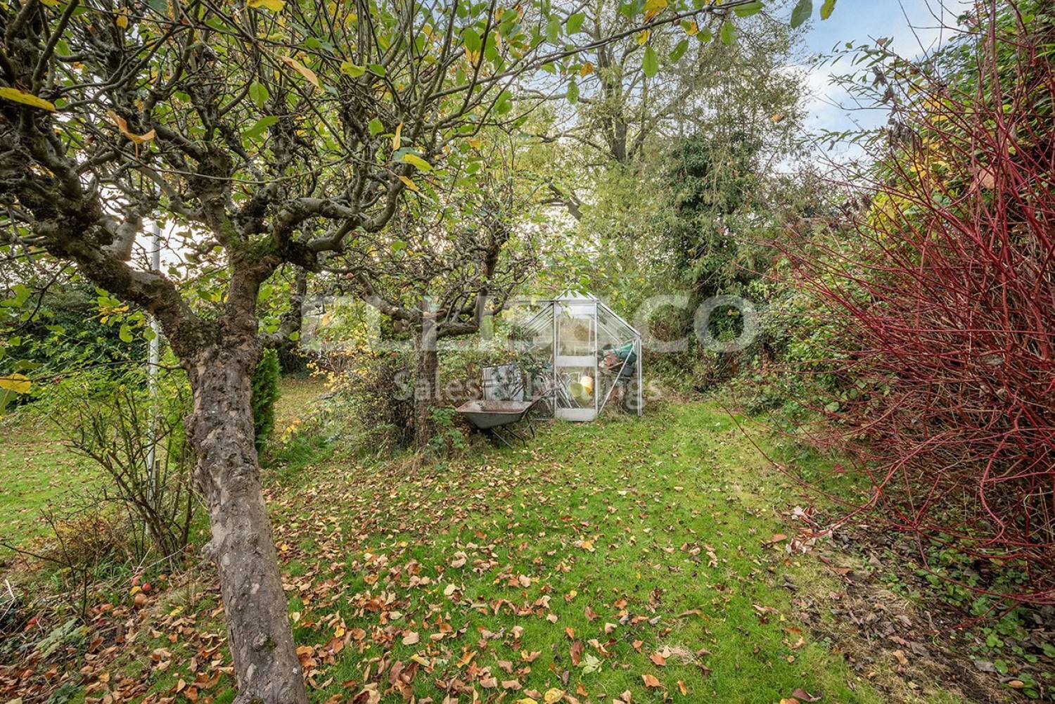 Mill Hill, London