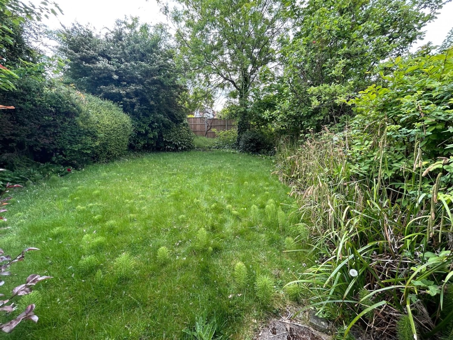 Mill Hill, London