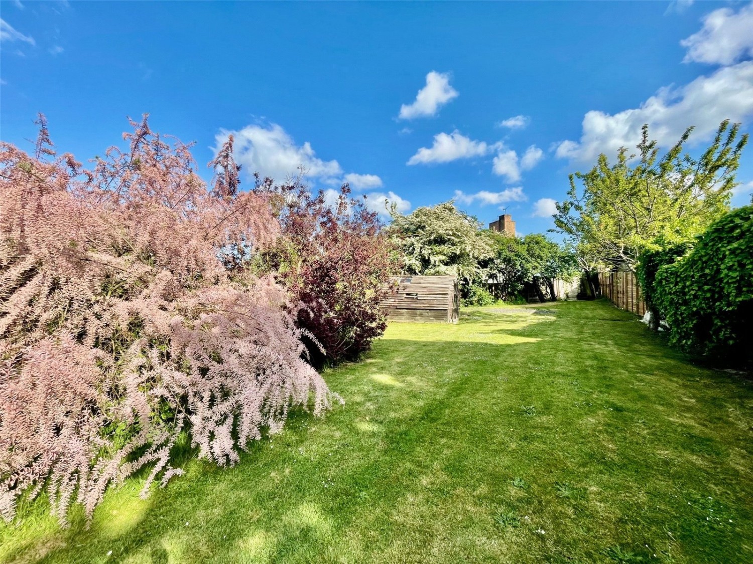 Orpington, Kent