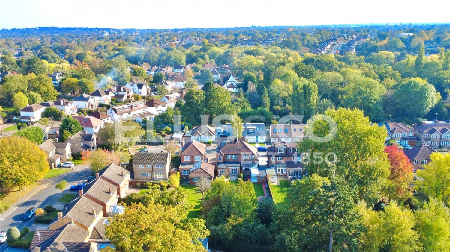 Pinner