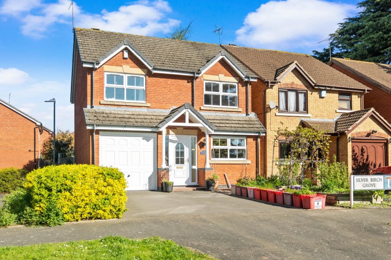 Silver Birch Grove, Leamington Spa