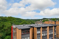 Trippet Court, Graham Road, Sheffield