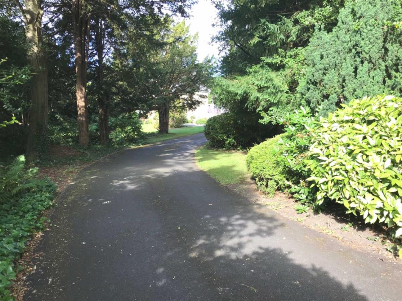 Fulwood Road, Sheffield