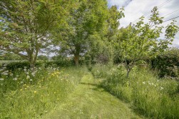 Forge Cottage, Stalisfield Green, Faversham