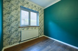 Christmas Lane, Rochester