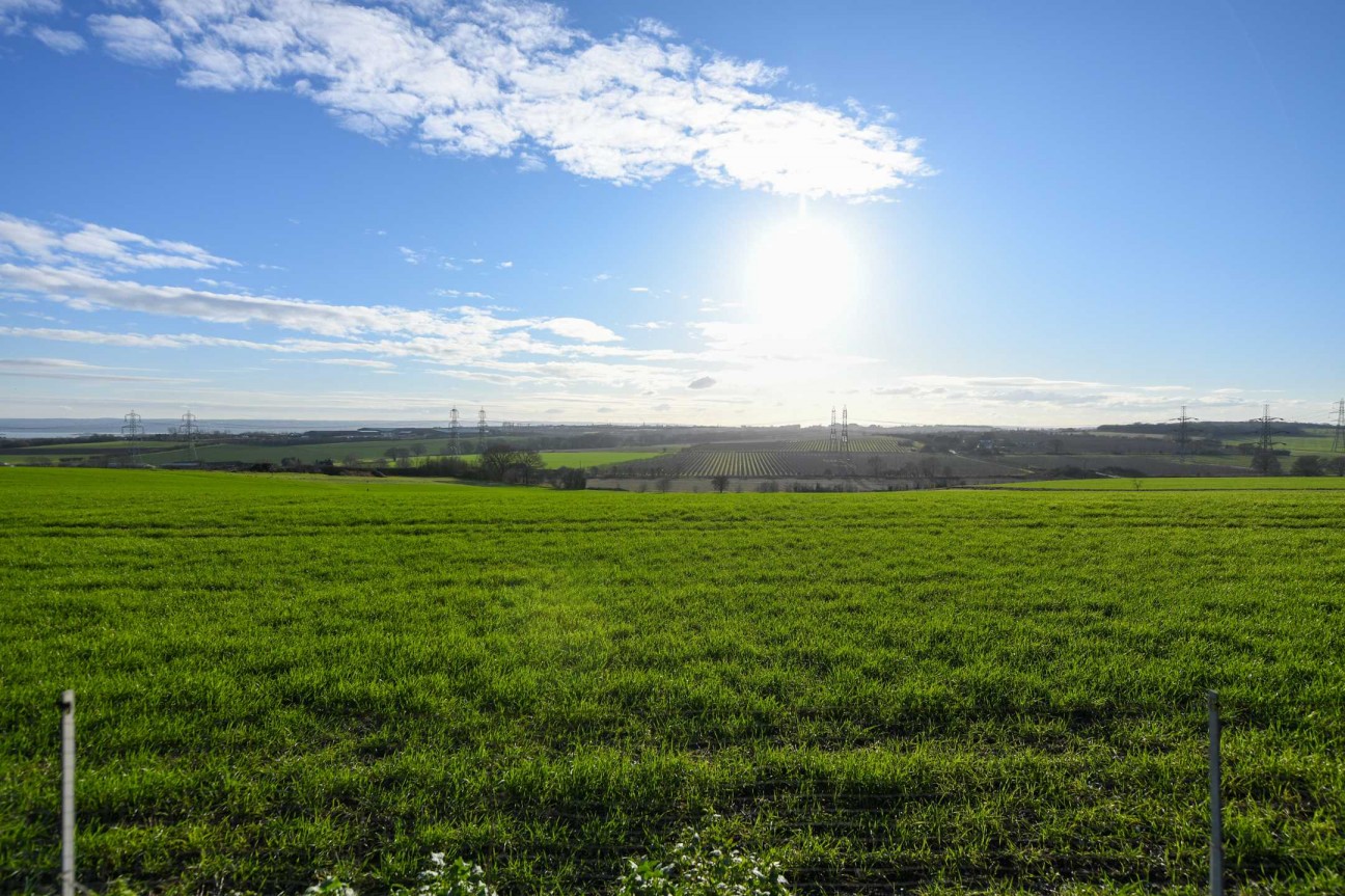 Christmas Lane, Rochester