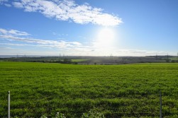 Christmas Lane, Rochester
