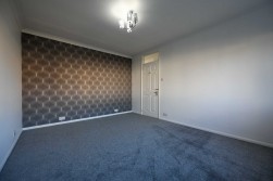 Christmas Lane, Rochester