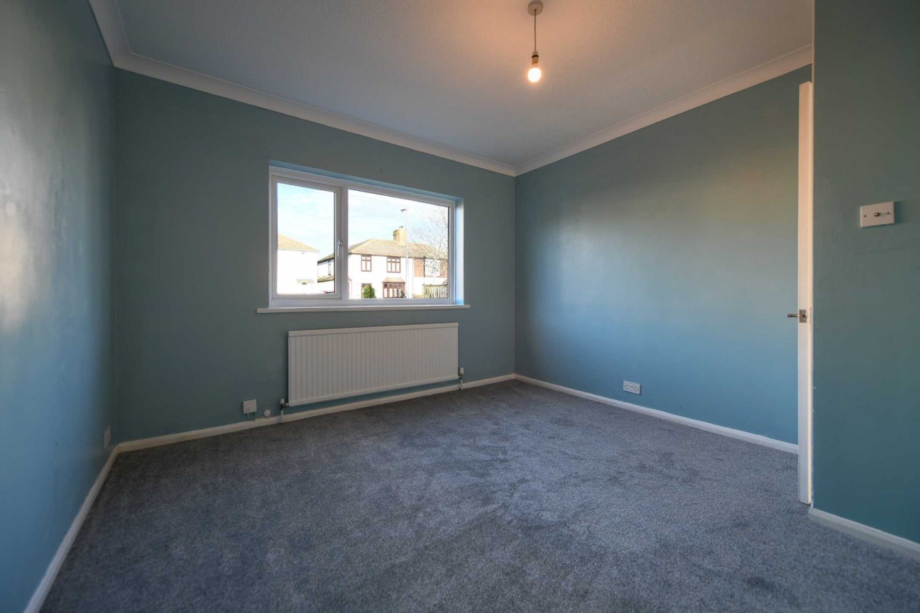 Christmas Lane, Rochester