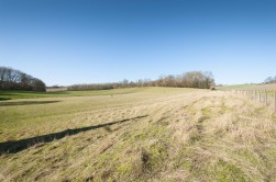 Ground Floor Flat, Dane Court Oast, Chilham