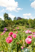 Image for Cranfield Road, Wavendon, MK17