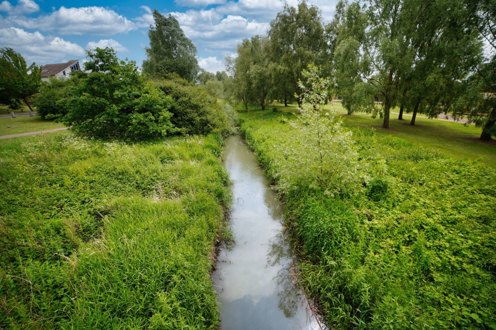 Image for Kingswear Drive, Broughton, MK10