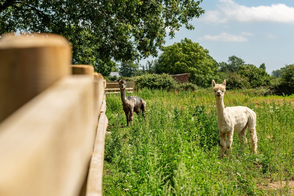 Image for Cow Lane, Gawcott, MK18
