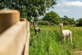 Image for Cow Lane, Gawcott, MK18