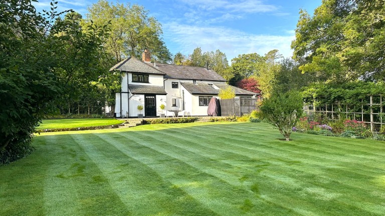 Burley, Ringwood, HANTS