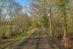 Brook, Bramshaw, Lyndhurst