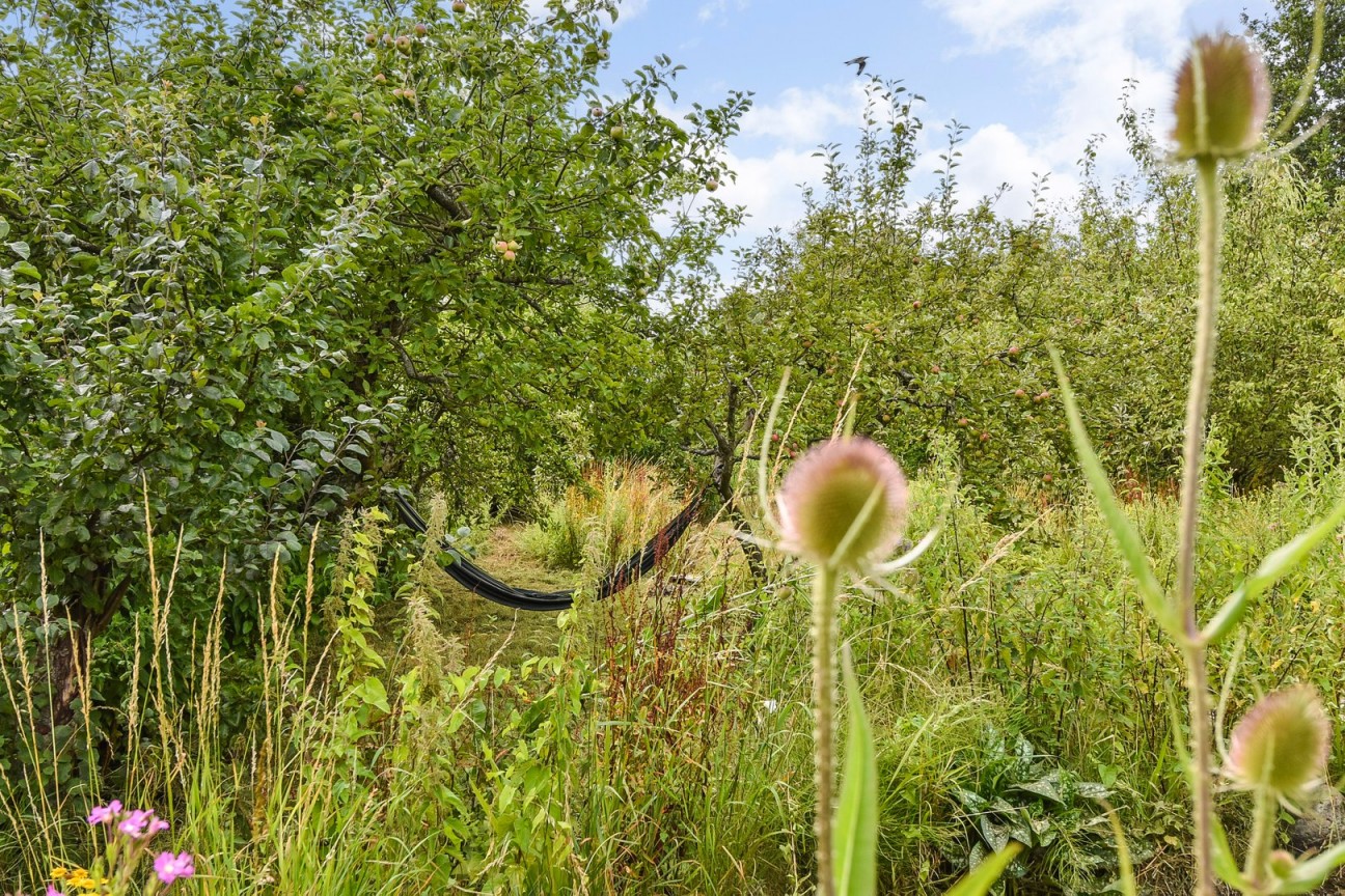 Woodlands, Southampton, Hampshire