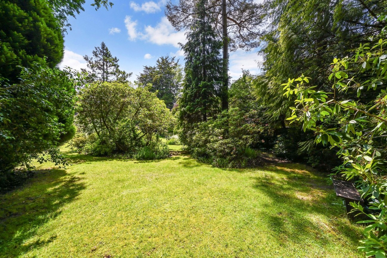 Ashurst, Southampton, Hampshire