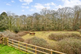 Hampshire, Lyndhurst