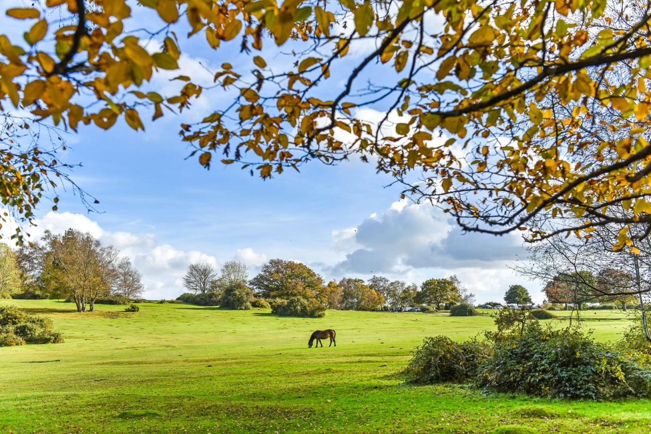 Glasshayes Way (Plot 21 Phase 2), Lyndhurst, Hampshire