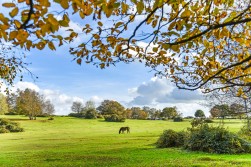 Glasshayes Way (Plot 21 Phase 2), Lyndhurst, Hampshire