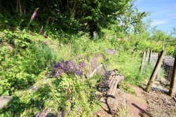 Sunnyview, Argoed, NP12