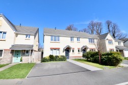 Millers Wood, Penmaen, NP12