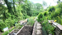 Cilgerran Way, Grove Park, NP12