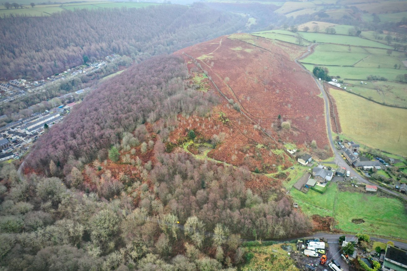 Mill Road, Deri, CF81