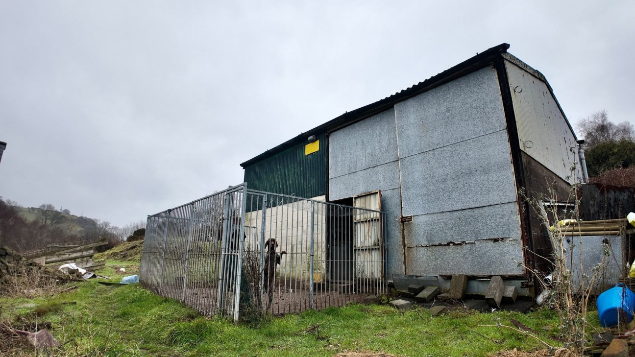 Mill Road, Deri, CF81