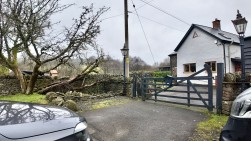 Mill Road, Deri, CF81