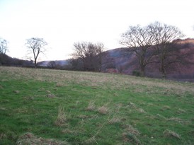 Woodland Cottages, Markham, NP12