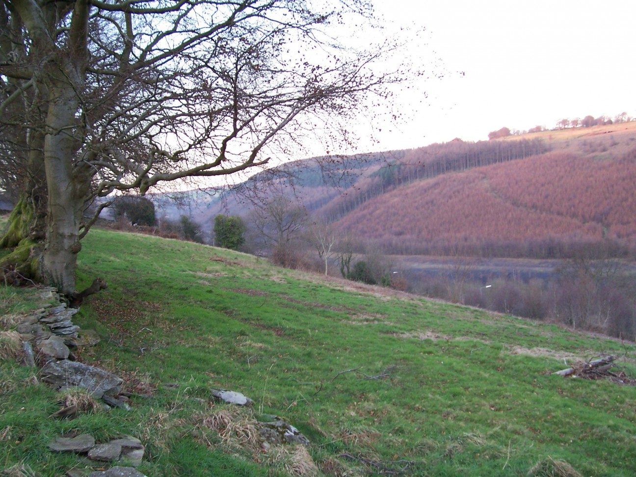 Woodland Cottages, Markham, NP12