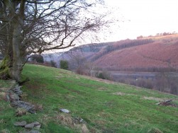 Woodland Cottages, Markham, NP12