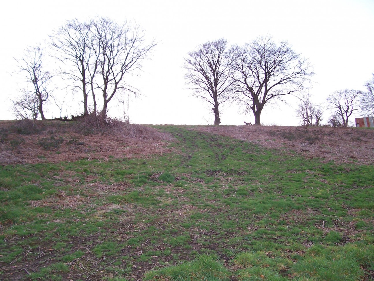 Woodland Cottages, Markham, NP12