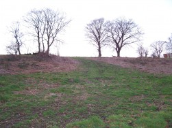 Woodland Cottages, Markham, NP12