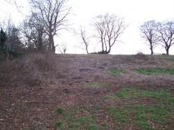 Woodland Cottages, Markham, NP12