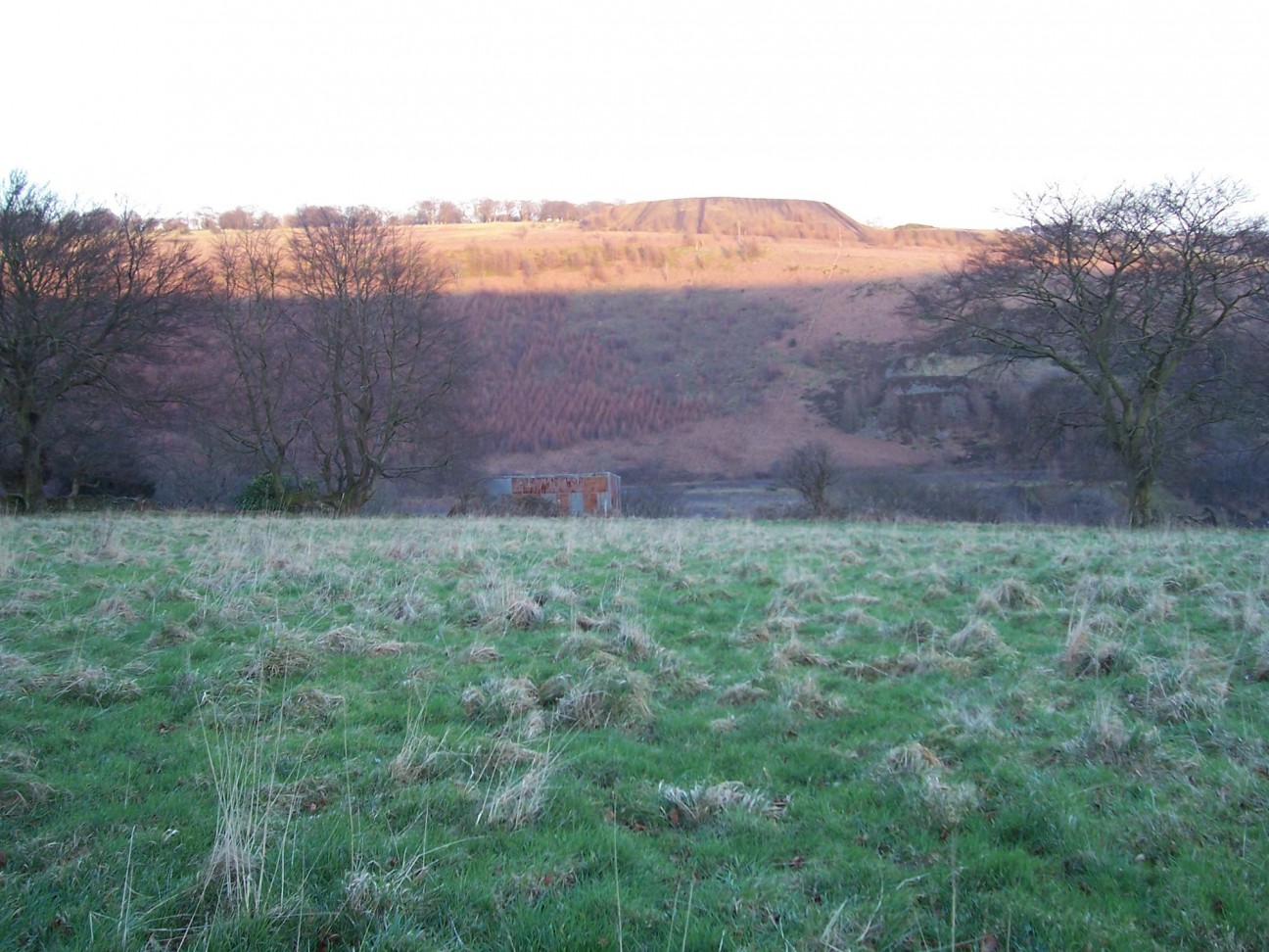 Woodland Cottages, Markham, NP12