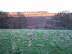 Woodland Cottages, Markham, NP12