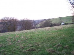 Woodland Cottages, Markham, NP12