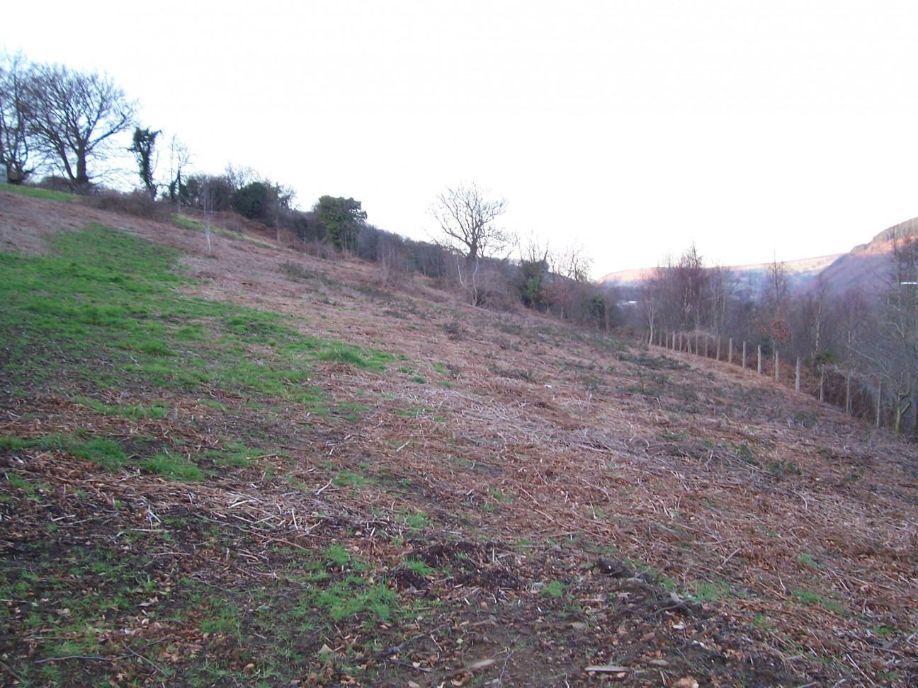 Woodland Cottages, Markham, NP12