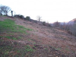 Woodland Cottages, Markham, NP12