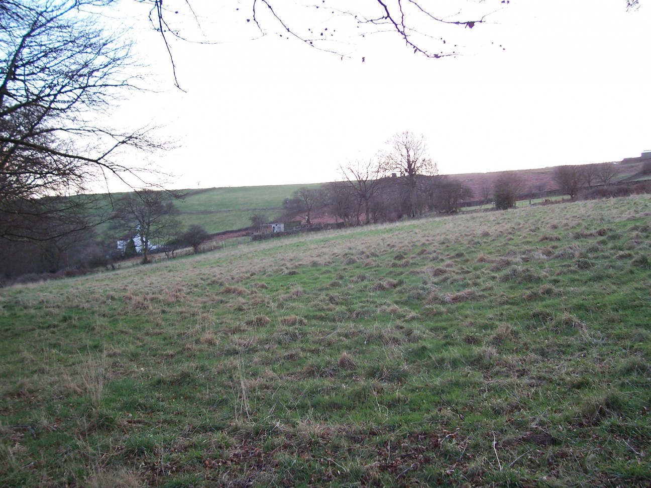 Woodland Cottages, Markham, NP12