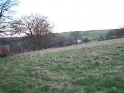 Woodland Cottages, Markham, NP12